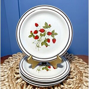 Regency Newcor Susanne 601 Strawberry Salad Plates 7.5" Japan Set 4 Speckled
